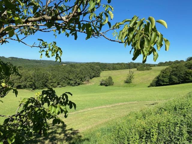 סן-סיפרייה Domaine De Cazal - Gite 2 Pers Avec Piscine Au Coeur De 26 Hectares De Nature Preservee מראה חיצוני תמונה